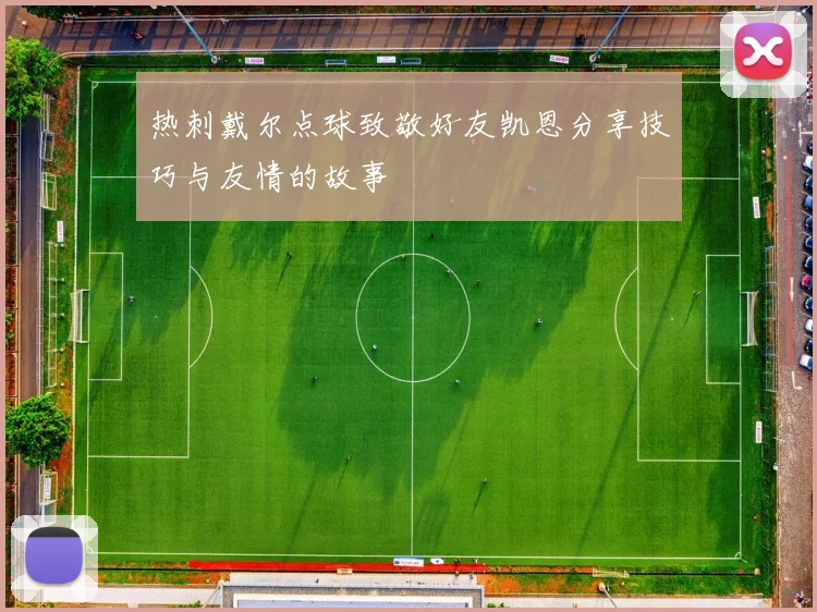热刺戴尔点球致敬好友凯恩分享技巧与友情的故事