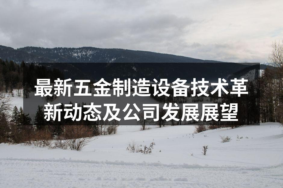 智能化五金制造设备展示
